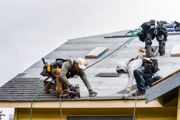 Professional Flat Roof Repair technician working in Wolverton, MN